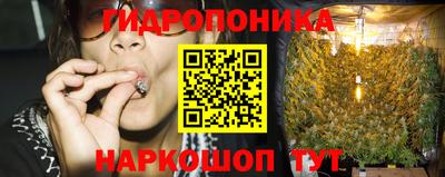 МДПВ Татарск