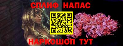 МДПВ Татарск
